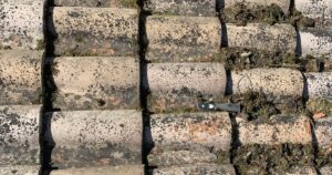 Toiture en tuiles envahie par la mousse et les lichens, vue rapprochée