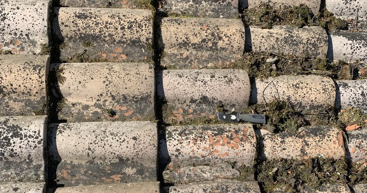 Toiture en tuiles envahie par la mousse et les lichens, vue rapprochée
